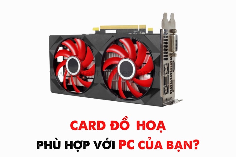 Card đồ hoạ nào phù hợp với PC của bạn?